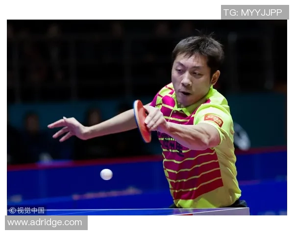 南京网球队以76分领跑精英赛积分榜展现强劲实力