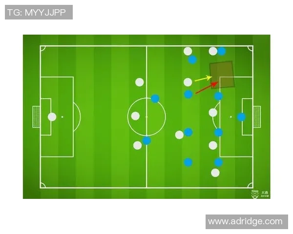 广州排球队在世界锦标赛中的默契配合与战术分析