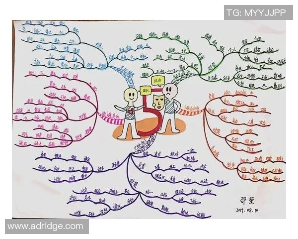 成都乒乓球队在世锦赛中的团队协作表现与战术配合分析