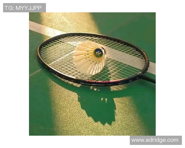 杨强独家分享羽毛球技巧与心得助你提升竞技水平与乐趣