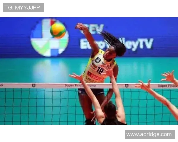 深圳排球队的蜕变与成长:一段关于坚持与梦想的排球纪实之旅